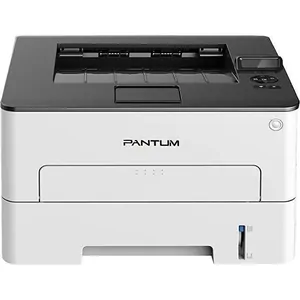 Замена принтера Pantum P3010D в Санкт-Петербурге